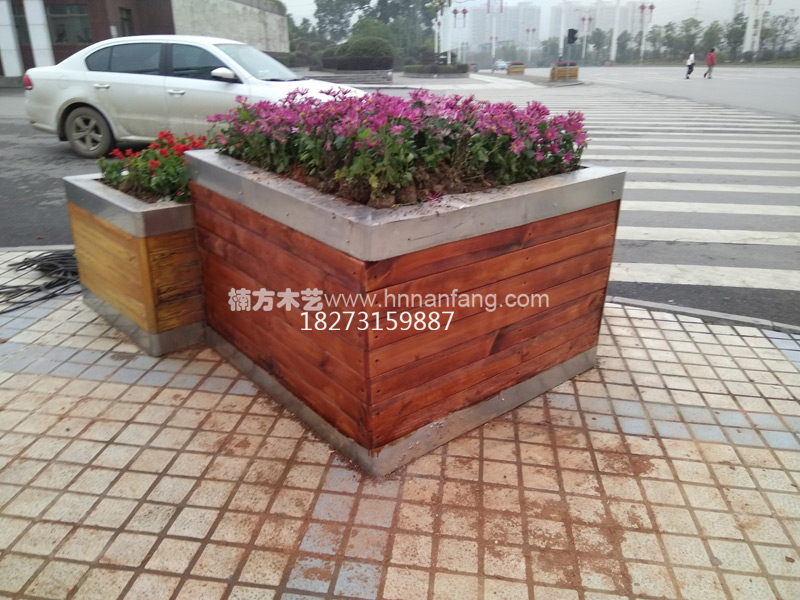 ҽҩѧ ɳľ-ۺ񣺻޸