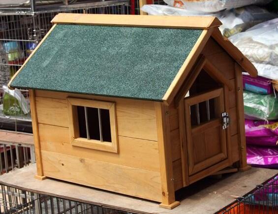 宠物屋.jpg 宠物屋.jpg