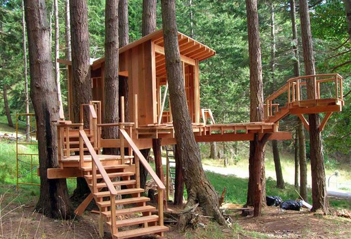 小树屋.jpg 小树屋.jpg