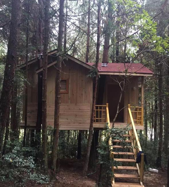 防腐木小树屋.jpg 防腐木小树屋.jpg