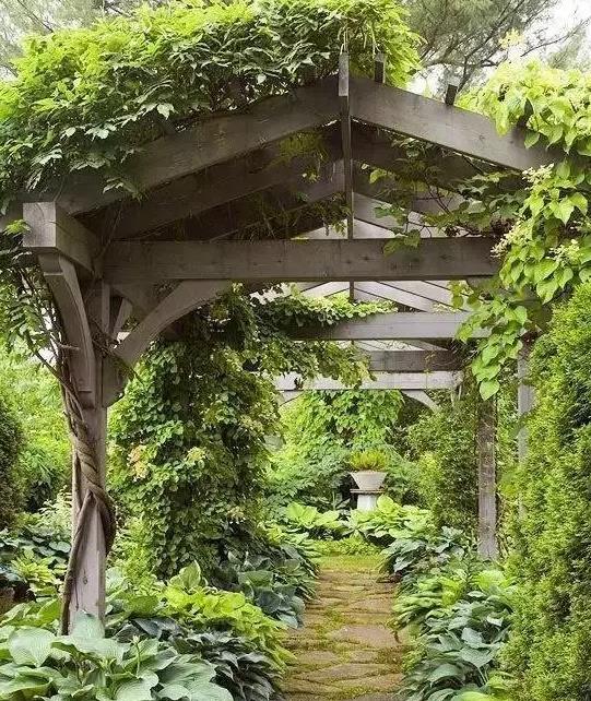 葡萄架.jpg 葡萄架.jpg