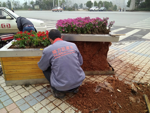 花箱维修 花箱维修