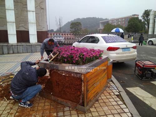 防腐木维护 防腐木维护