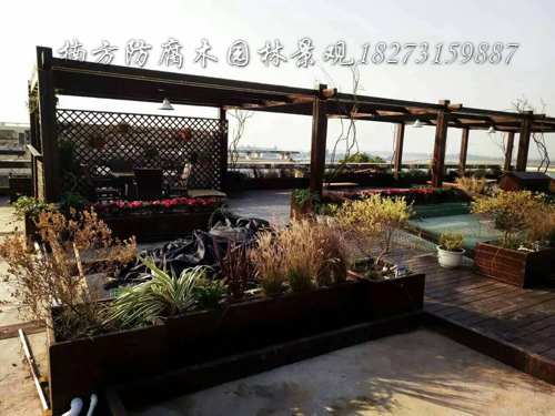 屋顶花园.jpg 屋顶花园.jpg